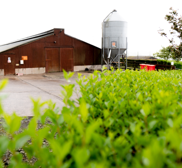 Barn with a silo outside